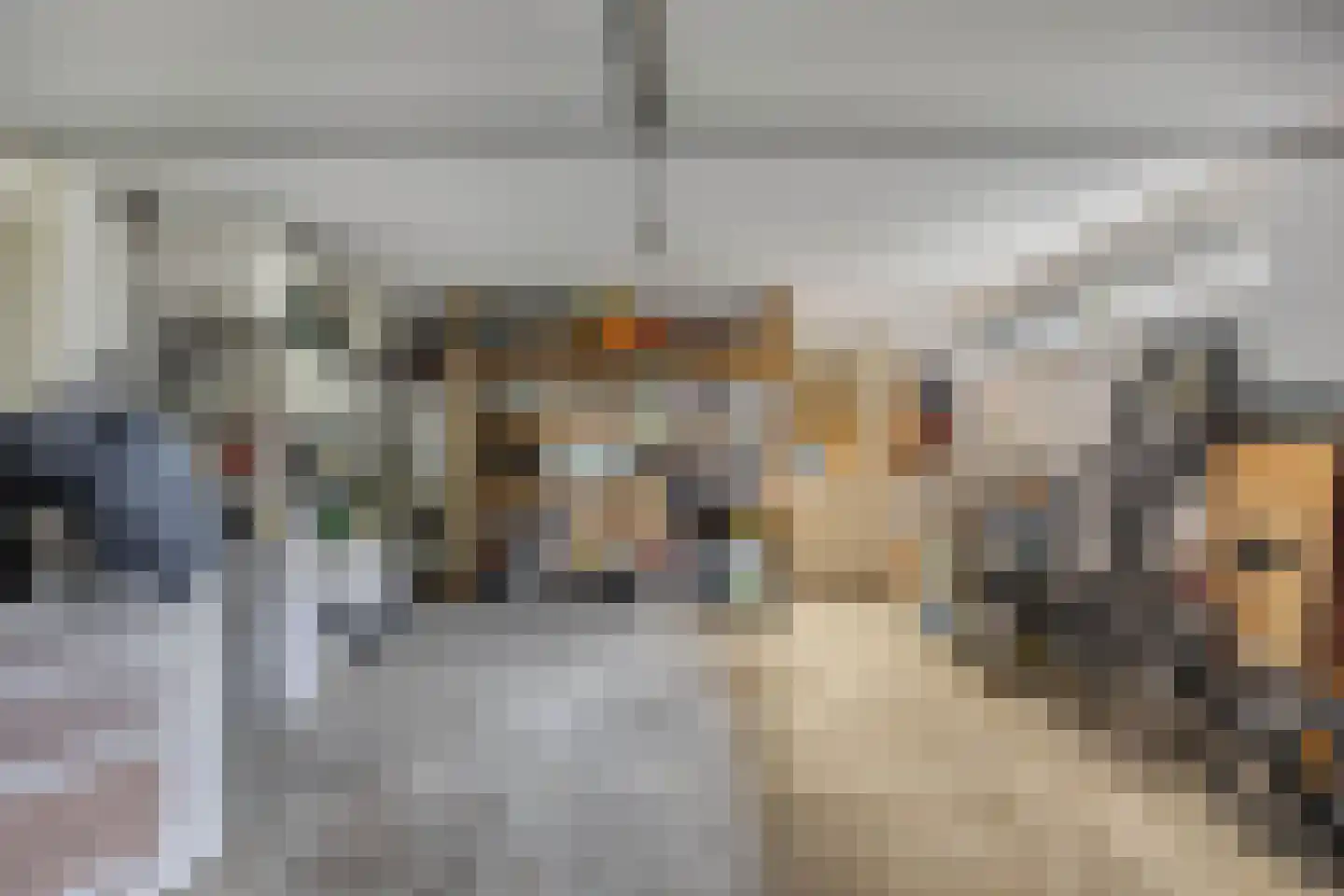 Zomer 9 Dronten thumbnail 34
