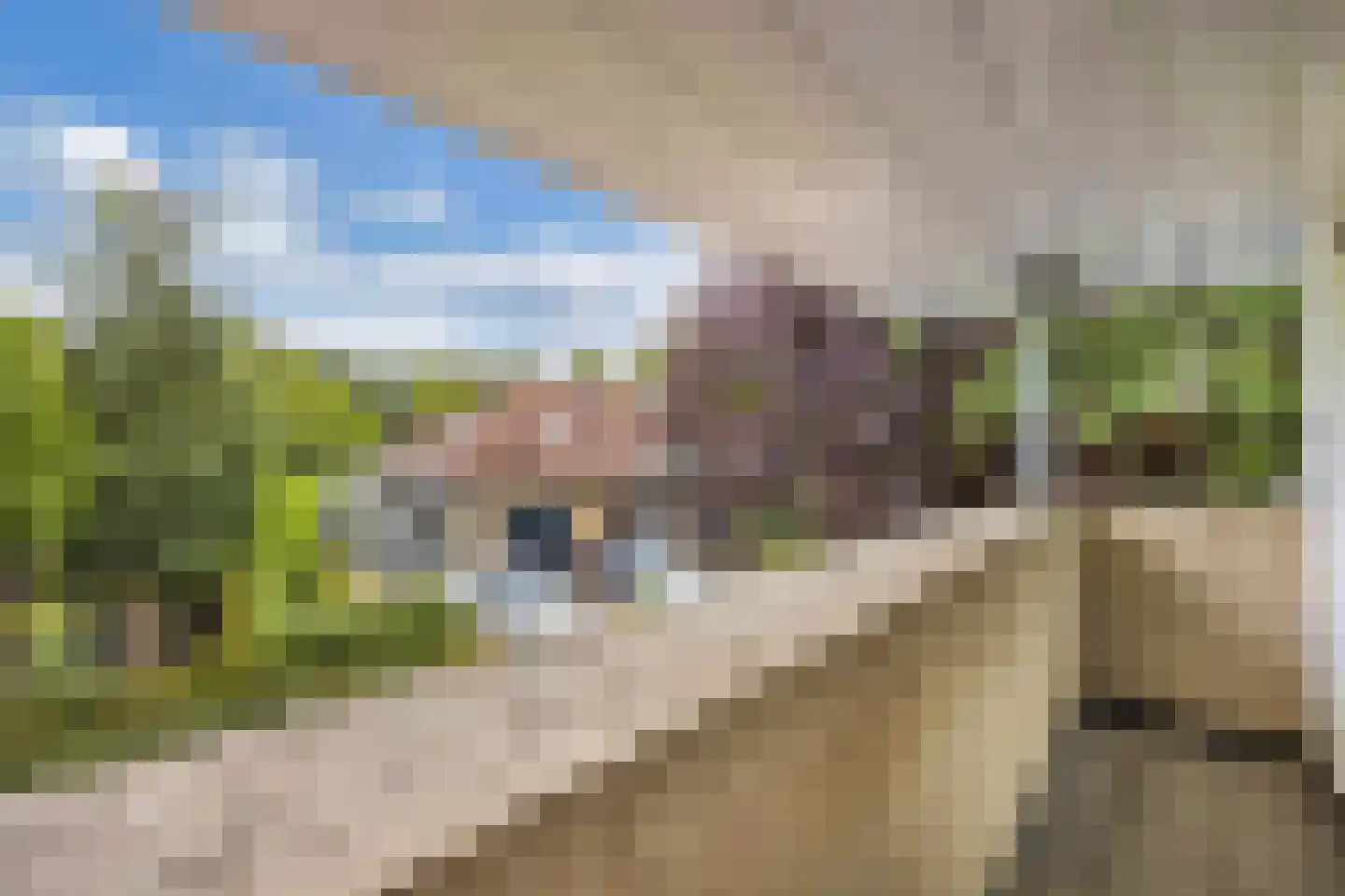 Zomer 9 Dronten thumbnail 45