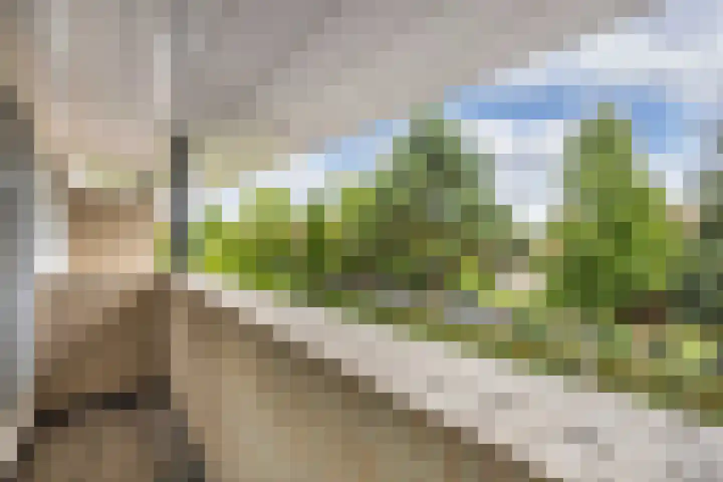 Zomer 9 Dronten thumbnail 46