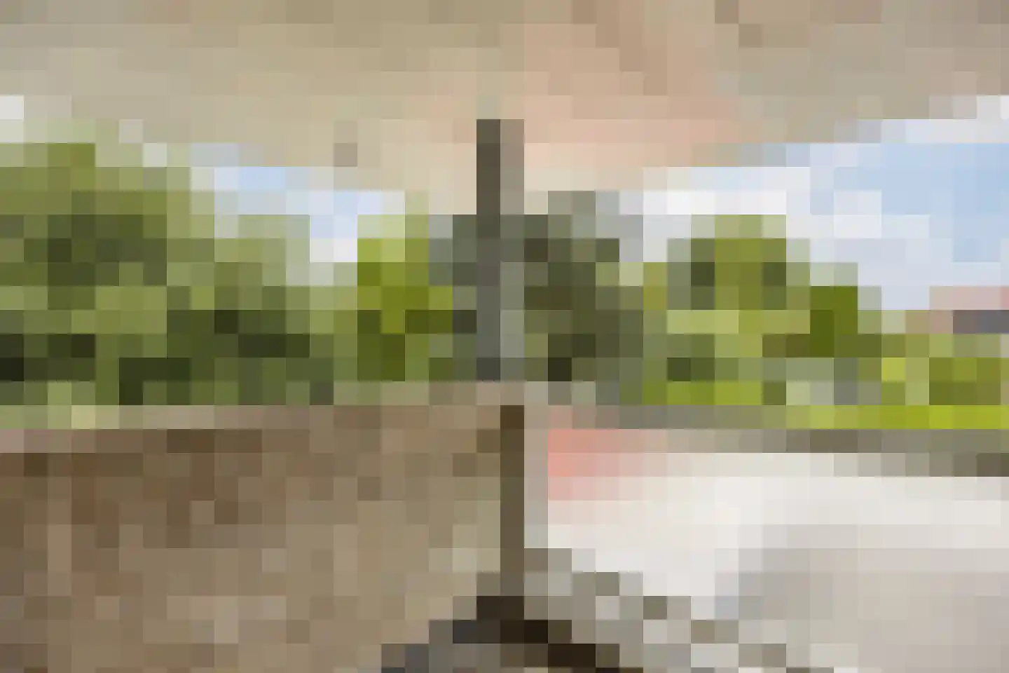 Zomer 9 Dronten thumbnail 49