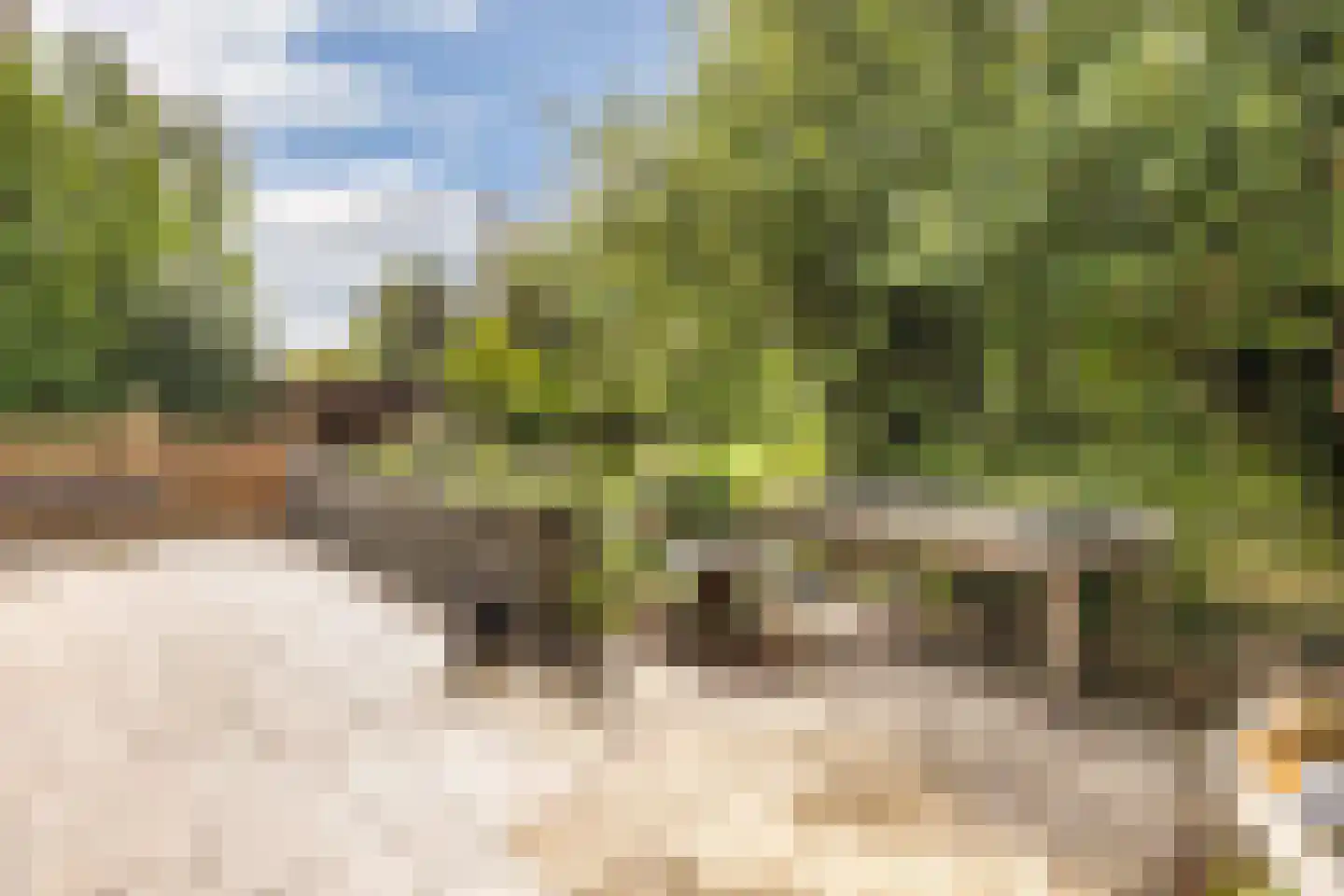 Zomer 9 Dronten thumbnail 53