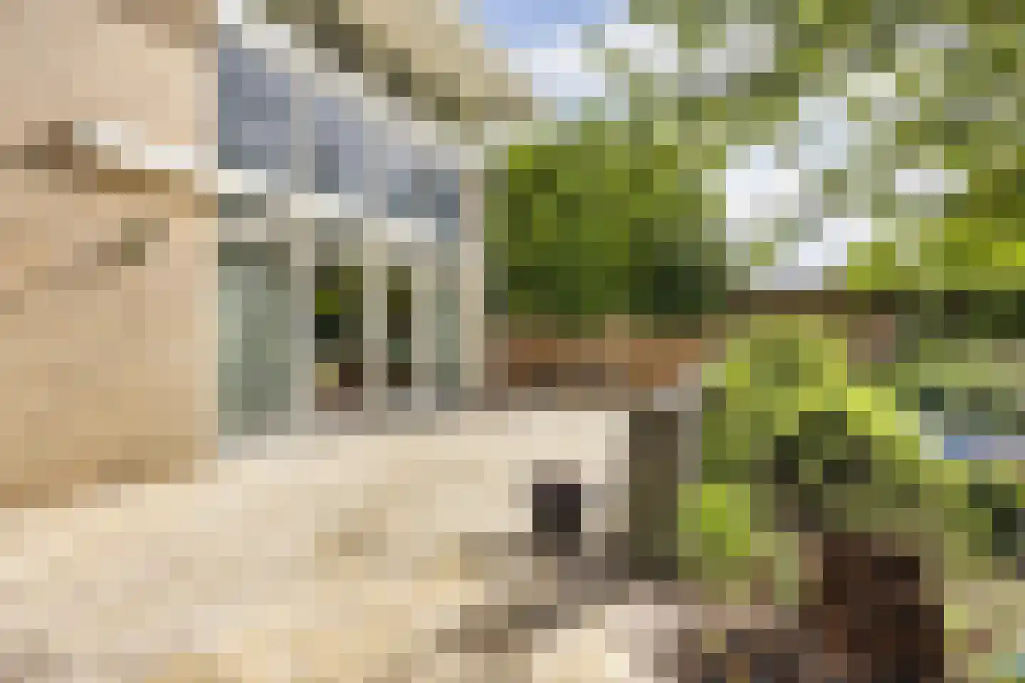Zomer 9 Dronten thumbnail 54
