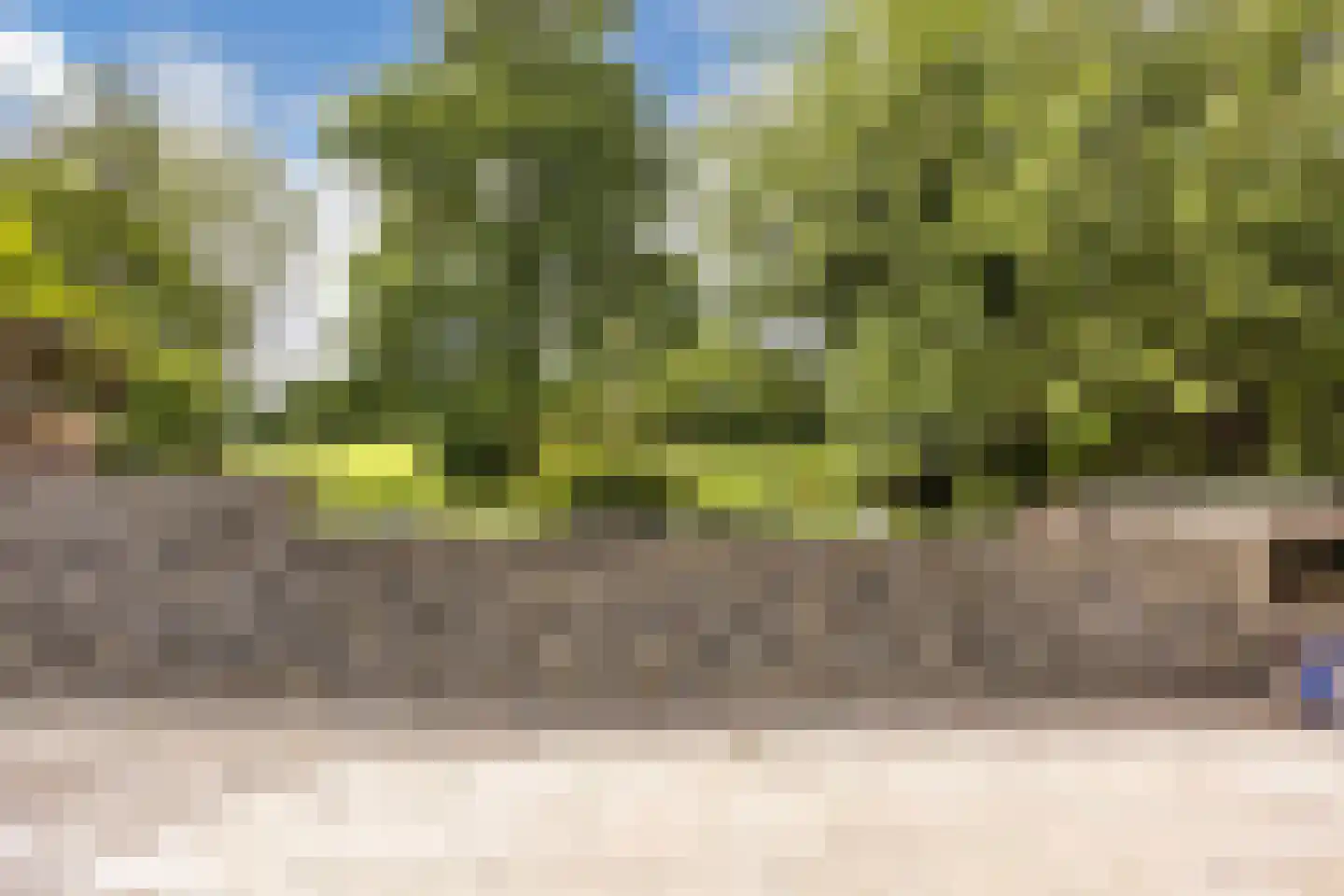 Zomer 9 Dronten thumbnail 55