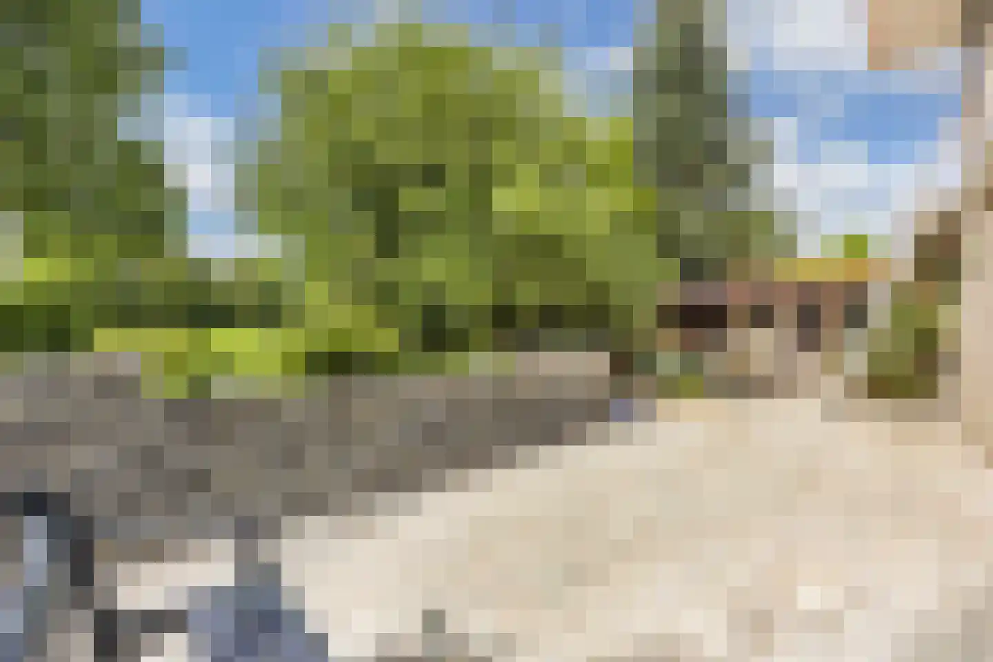 Zomer 9 Dronten thumbnail 56