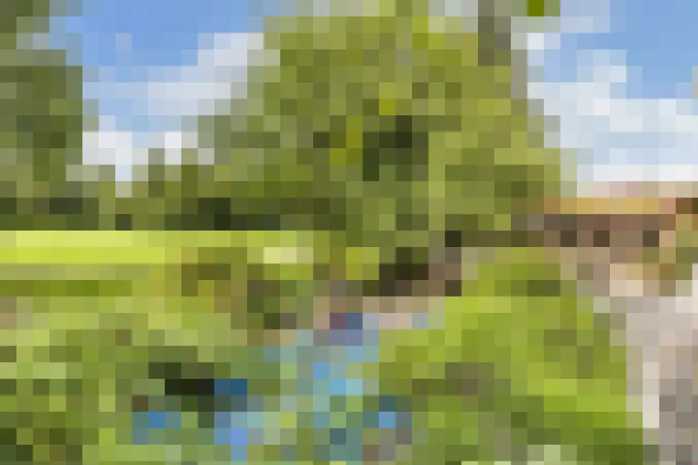 Zomer 9 Dronten thumbnail 57