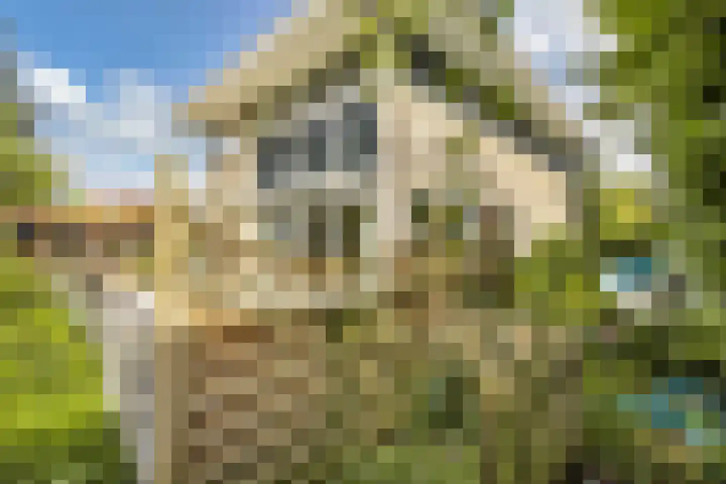 Zomer 9 Dronten thumbnail 58