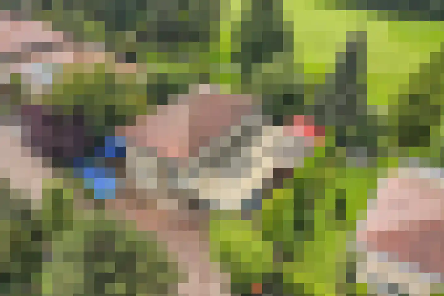 Zomer 9 Dronten thumbnail 6