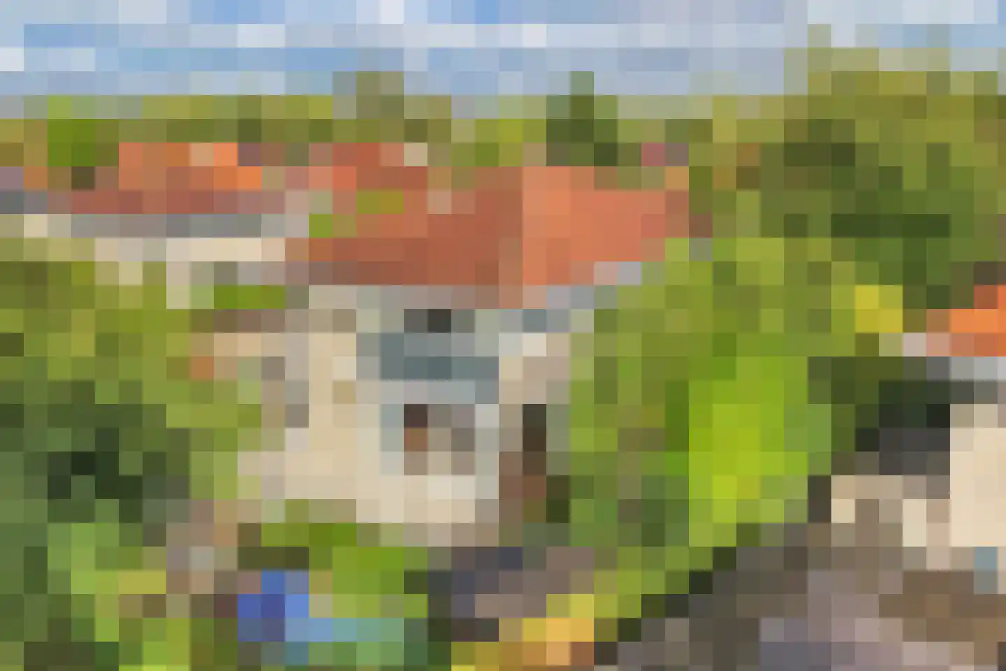 Zomer 9 Dronten thumbnail 60