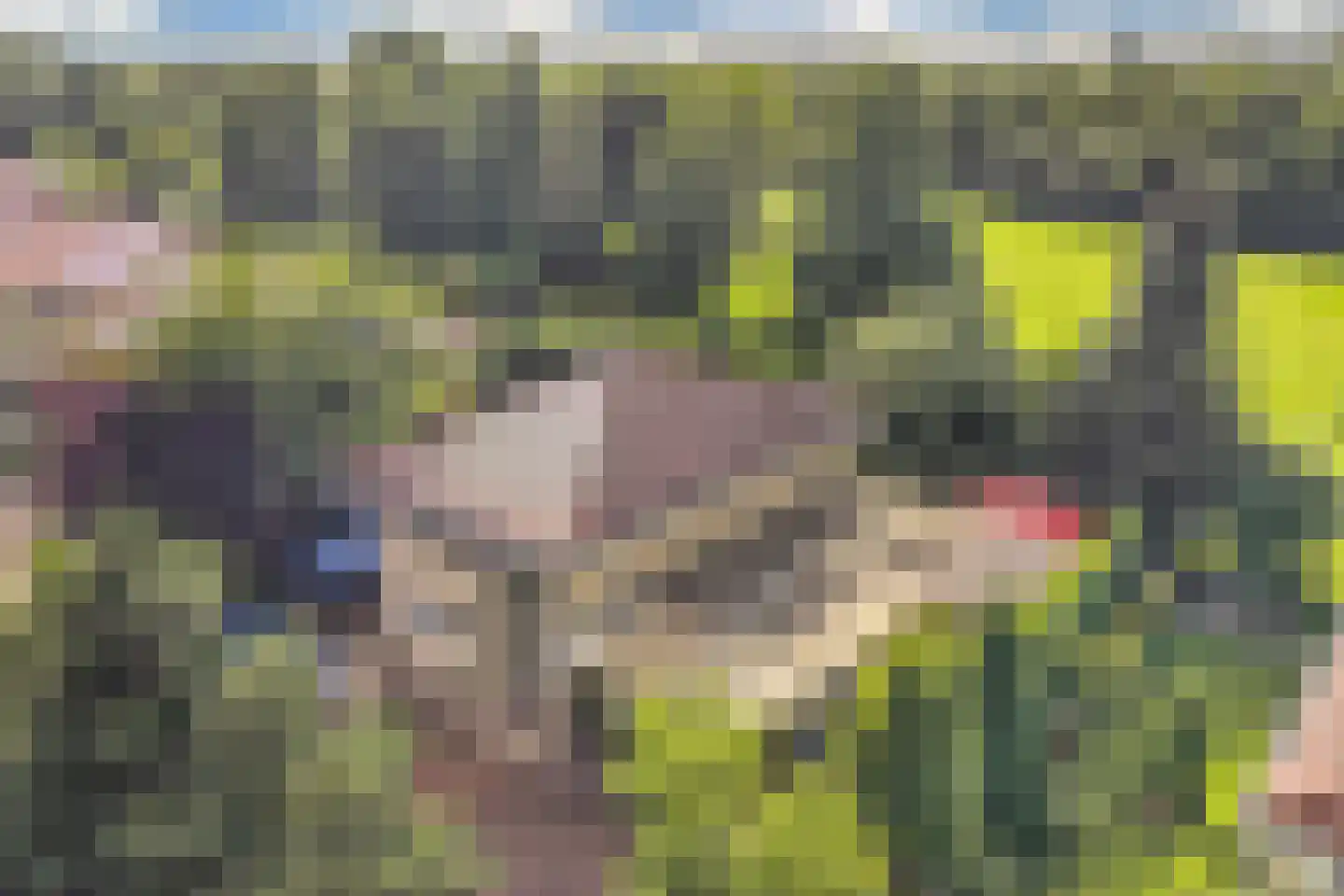 Zomer 9 Dronten thumbnail 7