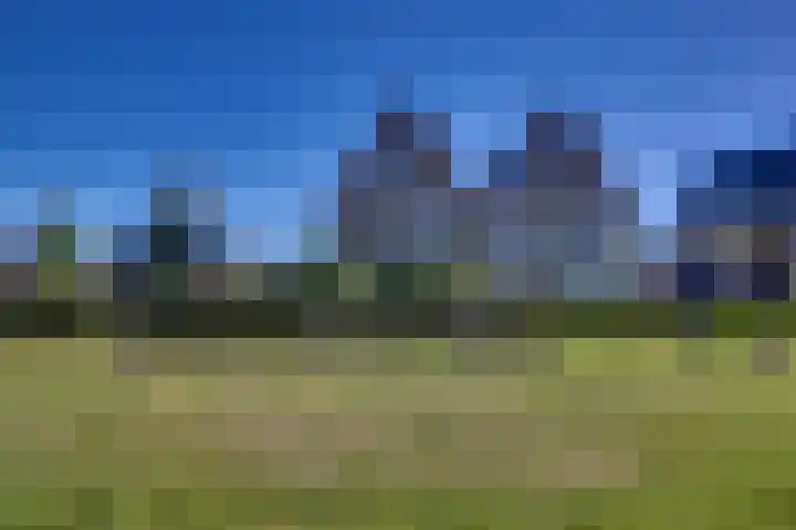 Zomerbed 28 Kampen thumbnail 10