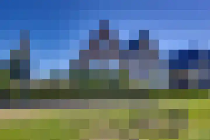 Zomerbed 28 Kampen thumbnail 11
