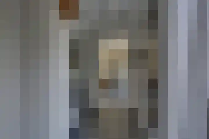 Zomerbed 28 Kampen thumbnail 12