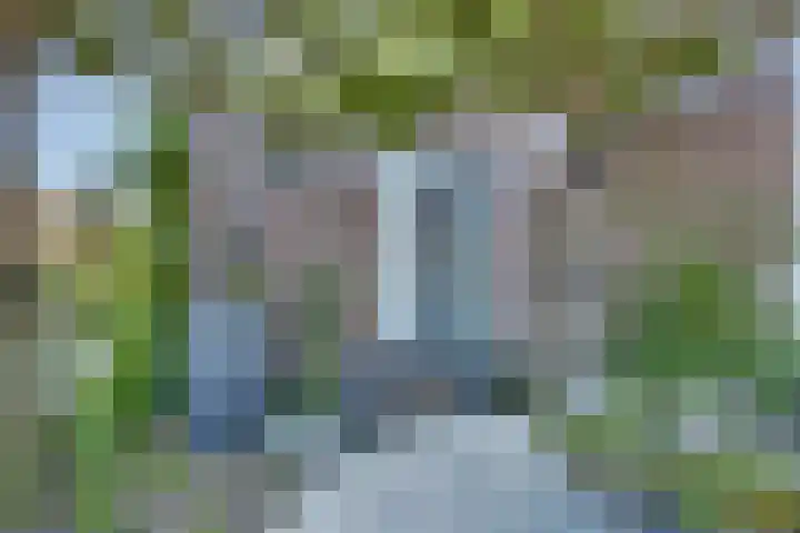 Zomerbed 28 Kampen thumbnail 38