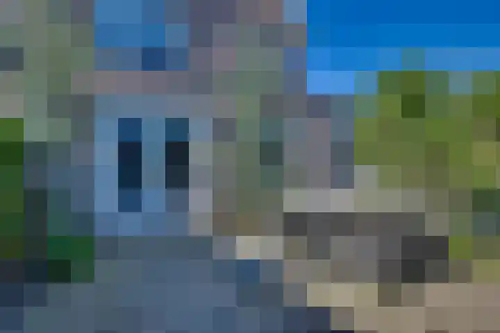 Zomerbed 28 Kampen thumbnail 44