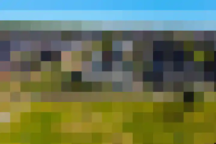 Zomerbed 28 Kampen thumbnail 7
