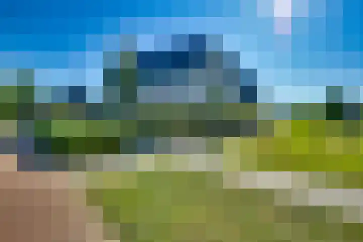 Zomerbed 28 Kampen thumbnail 8