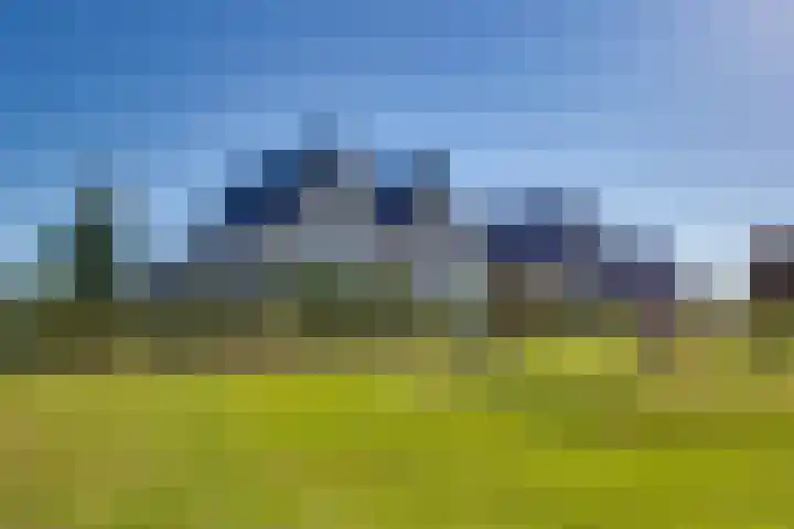 Zomerbed 28 Kampen thumbnail 9