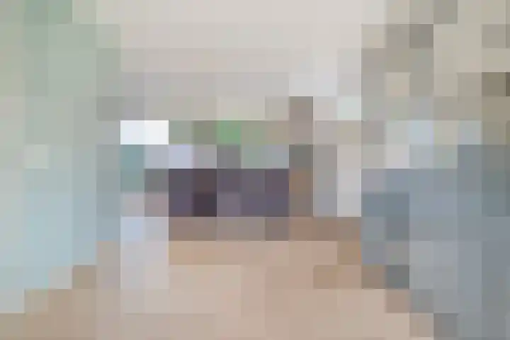 Zomerbed 8 Kampen thumbnail 12