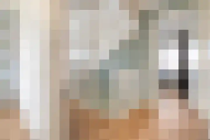 Zomerbed 8 Kampen thumbnail 21