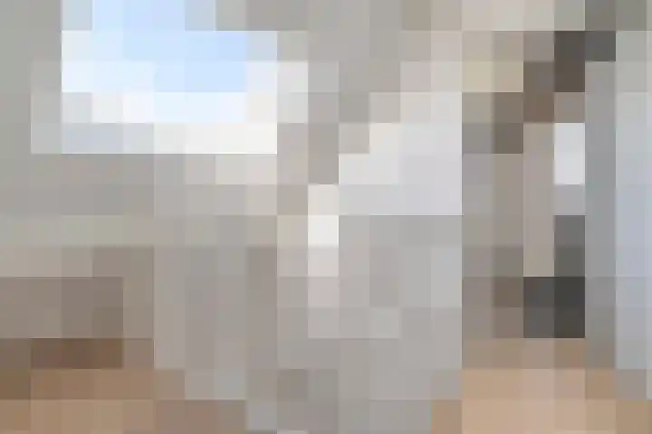 Zomerbed 8 Kampen thumbnail 35