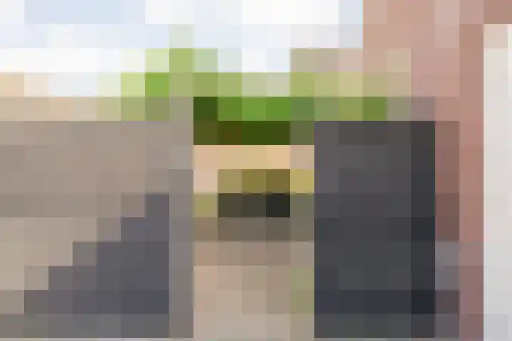Zomerbed 8 Kampen thumbnail 41