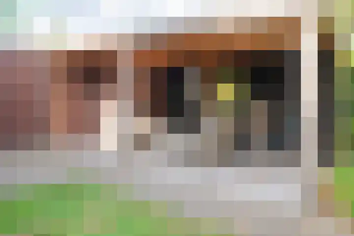 Zomerbed 8 Kampen thumbnail 43
