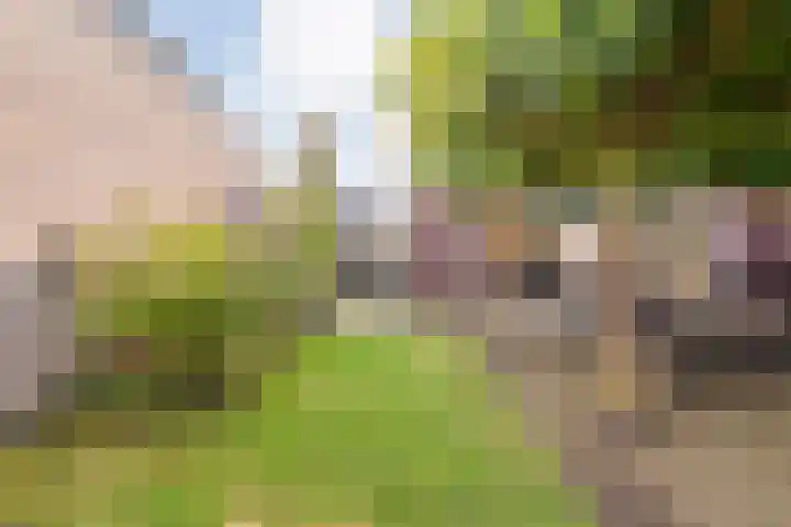 Zomerbed 8 Kampen thumbnail 44