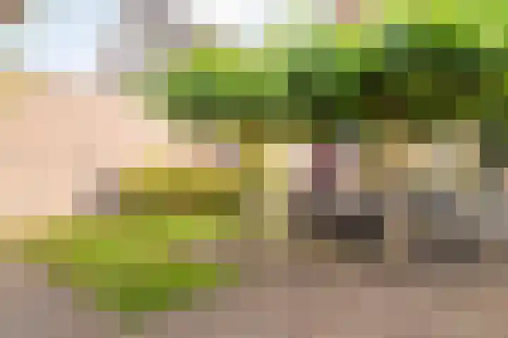Zomerbed 8 Kampen thumbnail 45