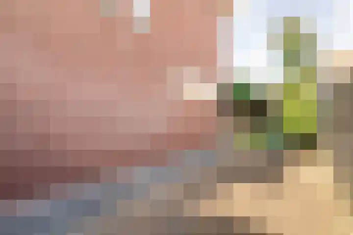 Zomerbed 8 Kampen thumbnail 47