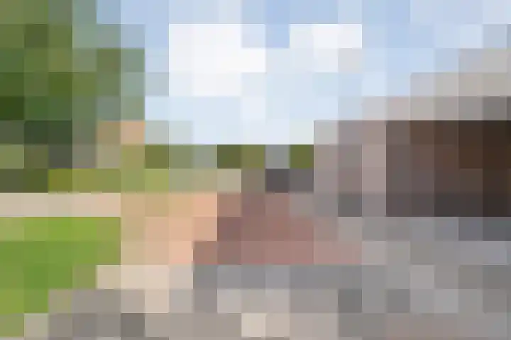 Zomerbed 8 Kampen thumbnail 48
