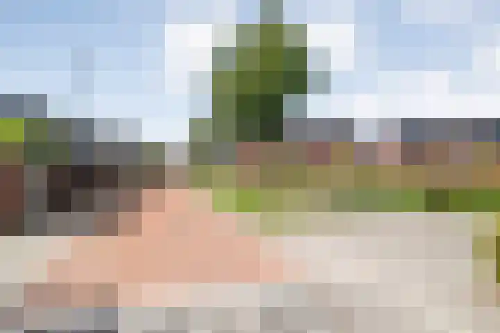 Zomerbed 8 Kampen thumbnail 49