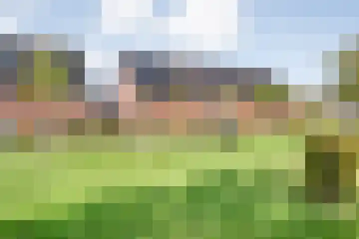Zomerbed 8 Kampen thumbnail 50