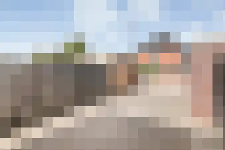 Zomerbed 8 Kampen thumbnail 52