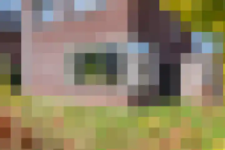 Zomerbed 8 Kampen thumbnail 53