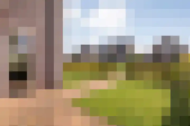 Zomerbed 8 Kampen thumbnail 55
