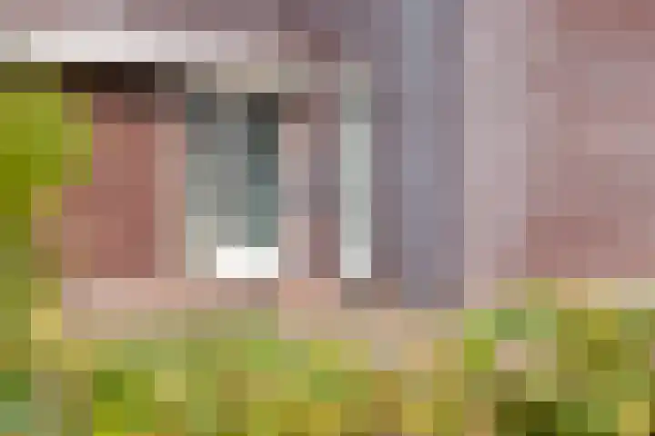 Zomerbed 8 Kampen thumbnail 56