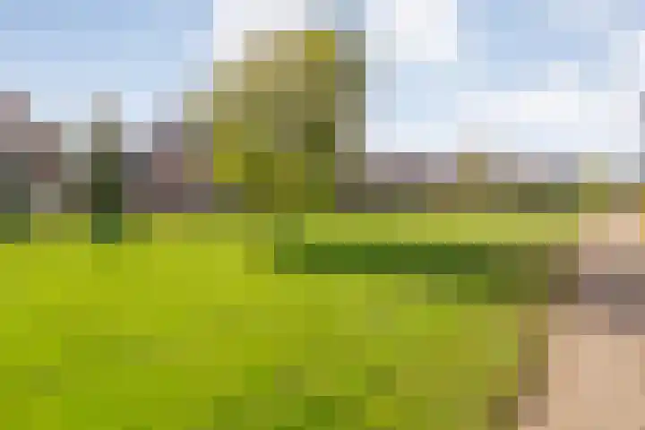 Zomerbed 8 Kampen thumbnail 57