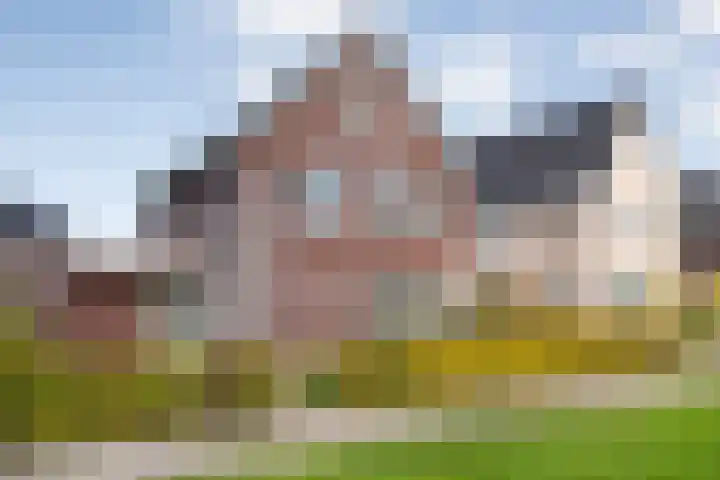 Zomerbed 8 Kampen thumbnail 58