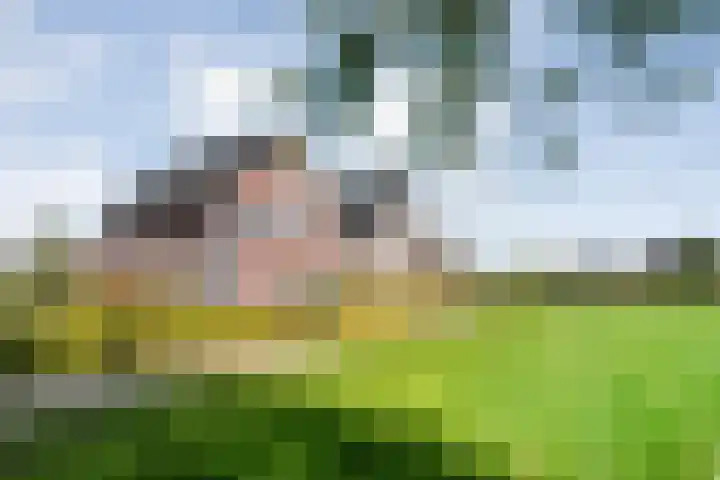 Zomerbed 8 Kampen thumbnail 60