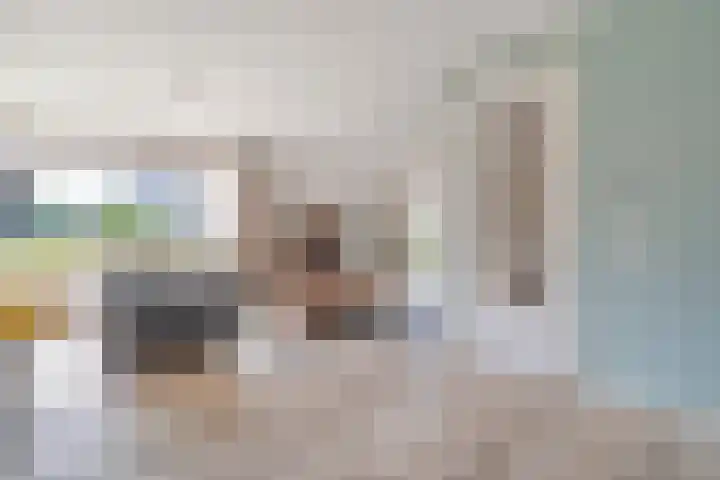 Zomerbed 8 Kampen thumbnail 9