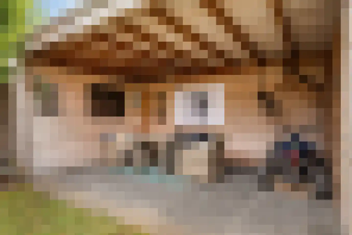 Zomerbloemstraat 12 Someren thumbnail 34