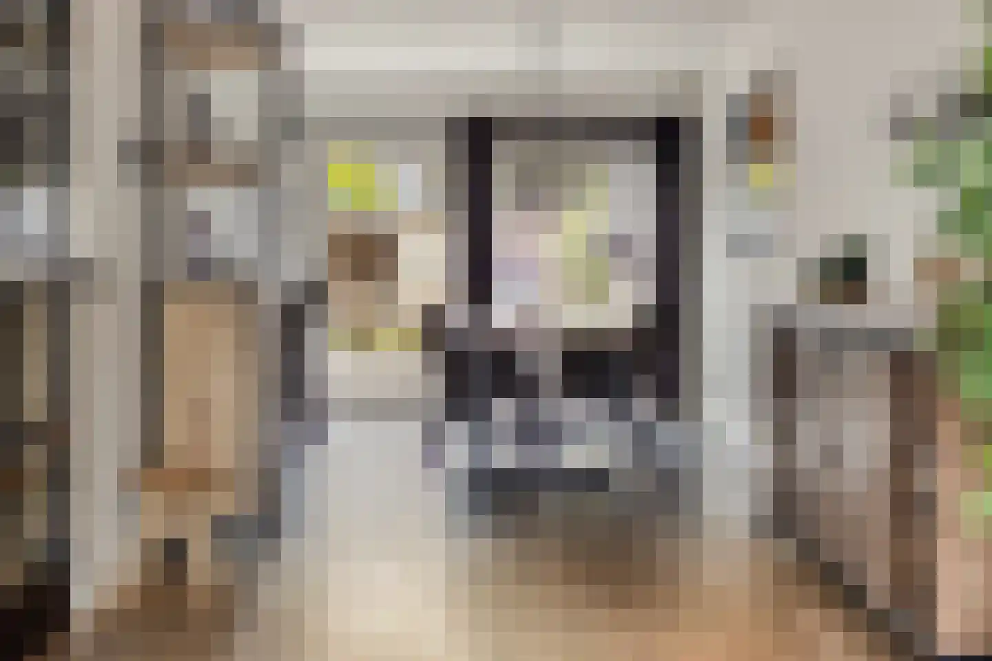 Zomerbloemstraat 12 Someren thumbnail 7