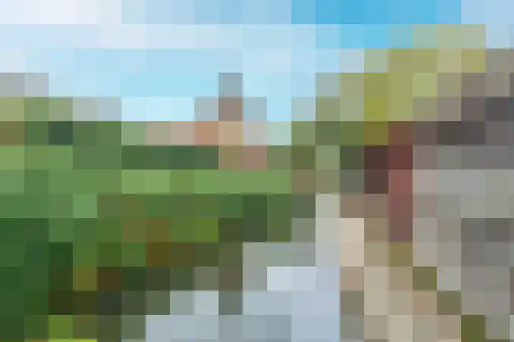 Zomerdijk 11 Vianen thumbnail 57