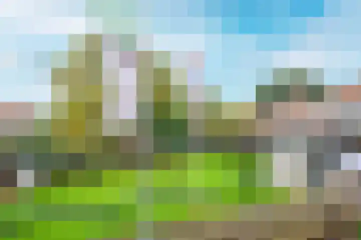 Zomerdijk 11 Vianen thumbnail 65