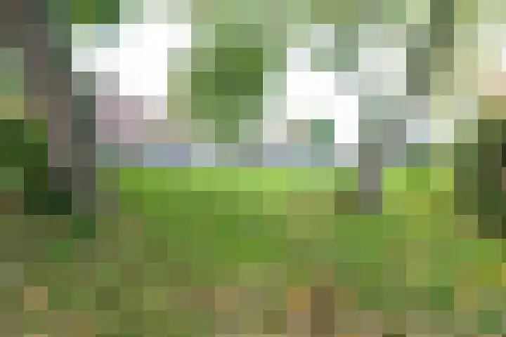 Zomerdijk 11 Vianen thumbnail 69
