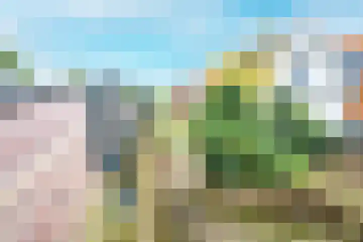Zomerdijk 11 Vianen thumbnail 70