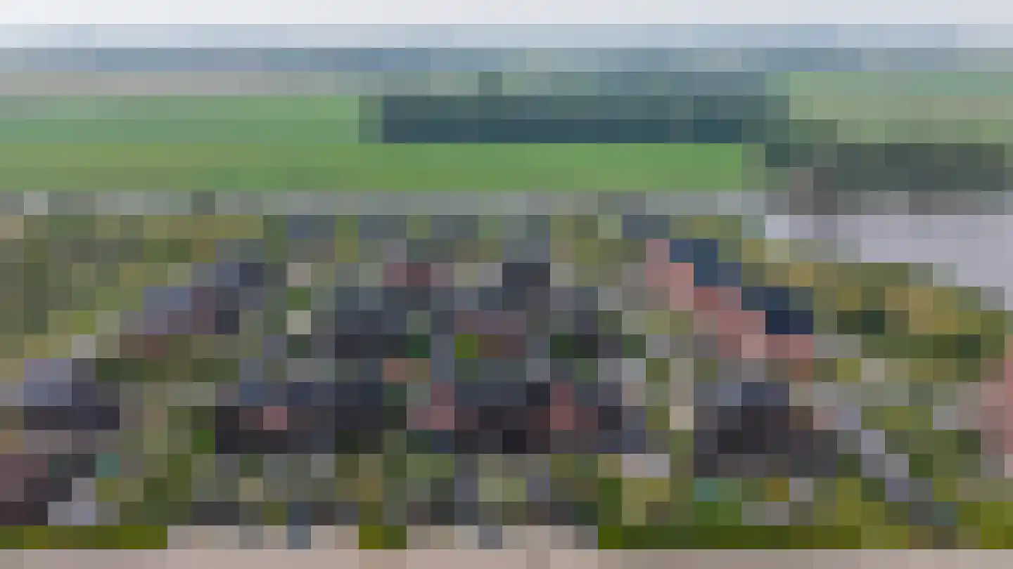 Zomerdijk 13 Meerstad thumbnail 10