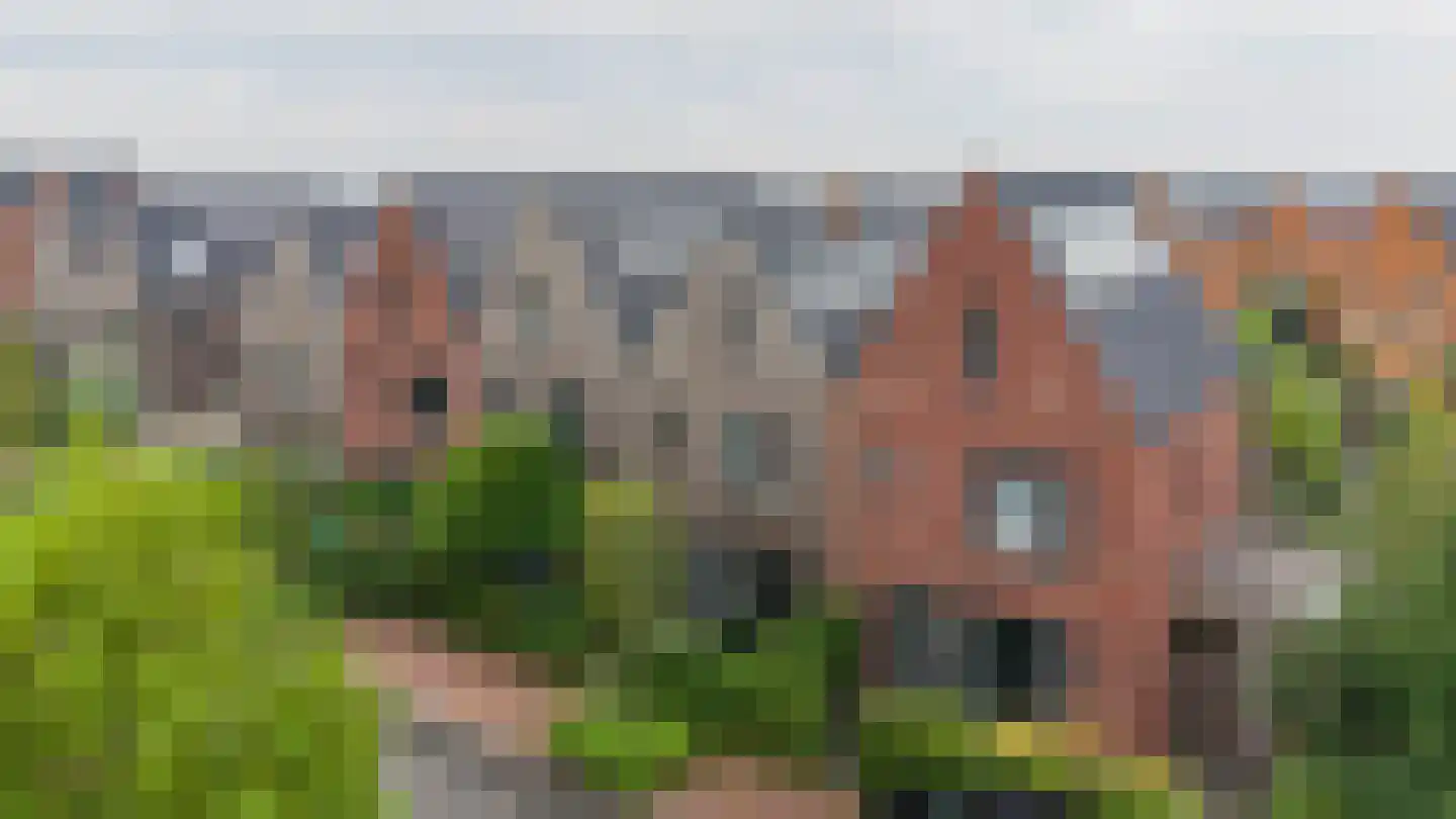 Zomerdijk 13 Meerstad thumbnail 12