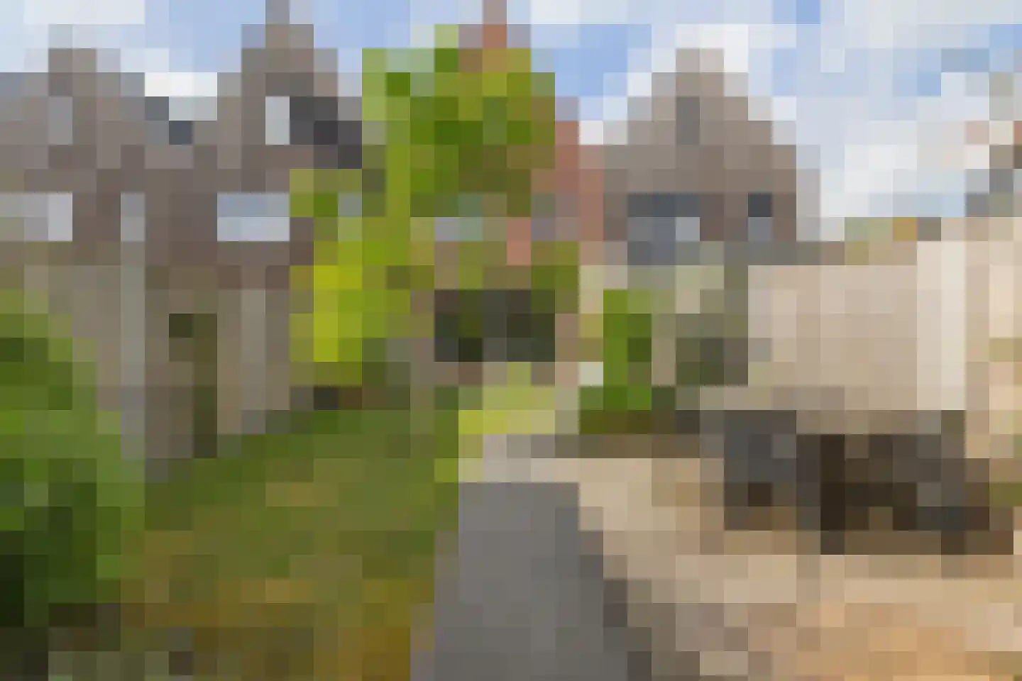 Zomerdijk 15 Meerstad thumbnail 27