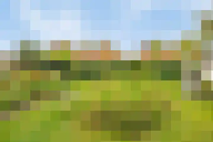 Zomerdijk 17 Meerstad thumbnail 31